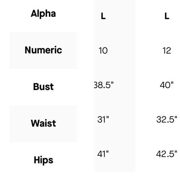 New Anthropologie Hutch Strapless High-Low Bubble Dress/ size 4P - Picture 14 of 14